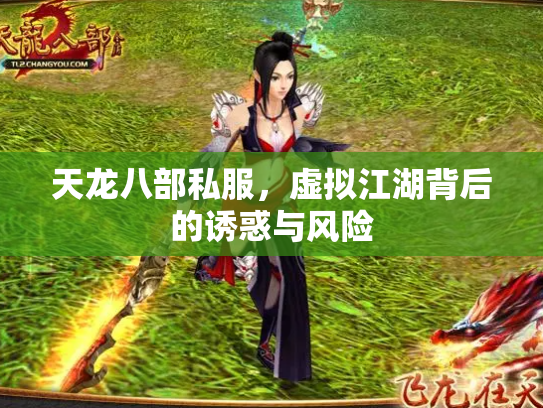 天龙八部私服，虚拟江湖背后的诱惑与风险