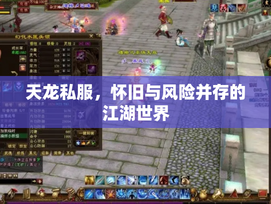 天龙私服，怀旧与风险并存的江湖世界