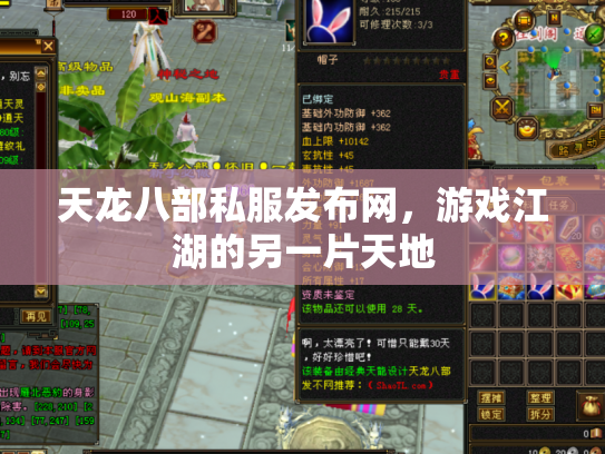 天龙八部私服发布网，游戏江湖的另一片天地