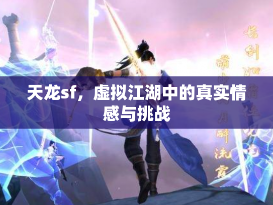 天龙sf，虚拟江湖中的真实情感与挑战