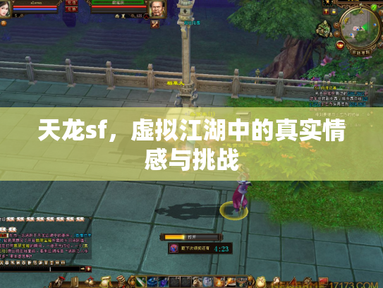 天龙sf，虚拟江湖中的真实情感与挑战