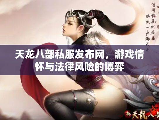 天龙八部私服发布网，游戏情怀与法律风险的博弈