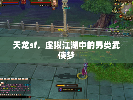 天龙sf，虚拟江湖中的另类武侠梦