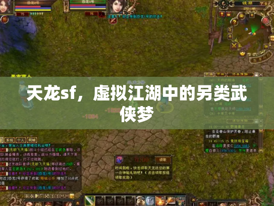 天龙sf，虚拟江湖中的另类武侠梦
