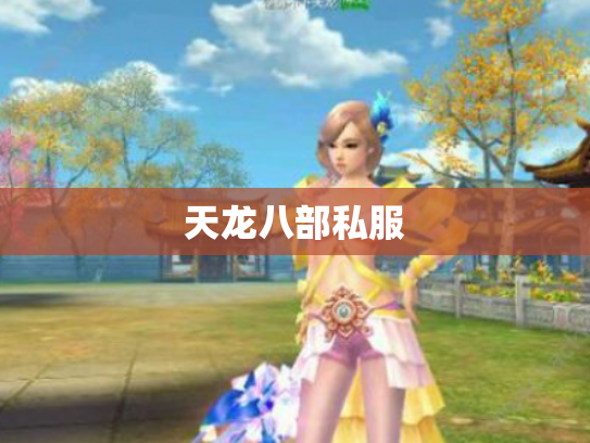 天龙八部私服