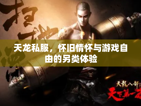 天龙私服，怀旧情怀与游戏自由的另类体验