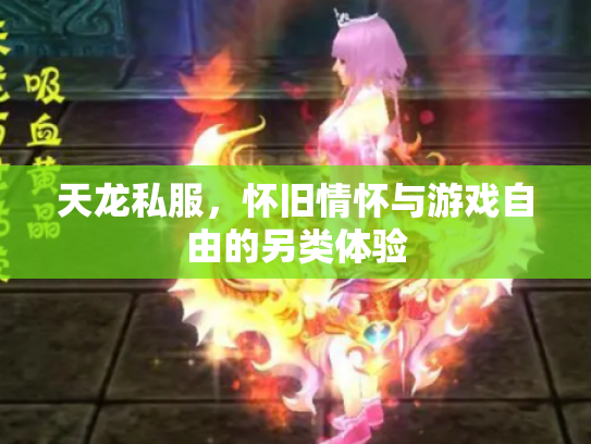 天龙私服，怀旧情怀与游戏自由的另类体验