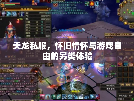 天龙私服，怀旧情怀与游戏自由的另类体验