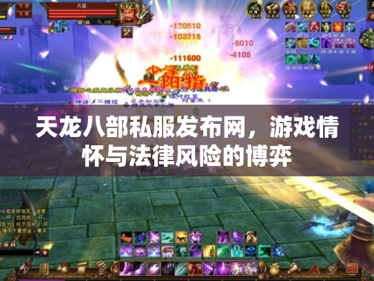 天龙八部私服发布网，游戏情怀与法律风险的博弈