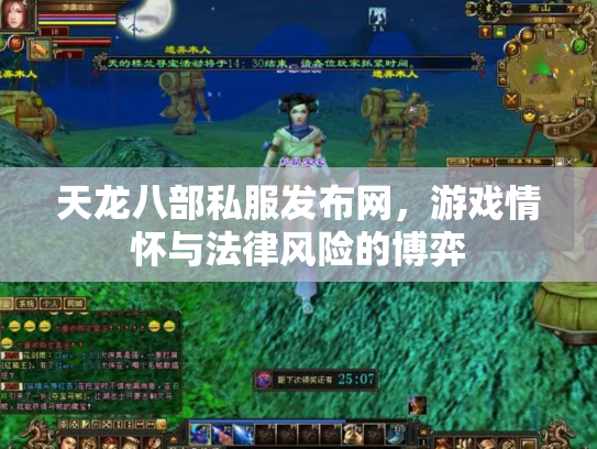 天龙八部私服发布网，游戏情怀与法律风险的博弈