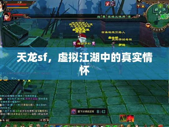 天龙sf，虚拟江湖中的真实情怀