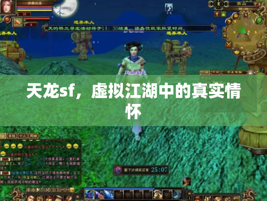 天龙sf，虚拟江湖中的真实情怀