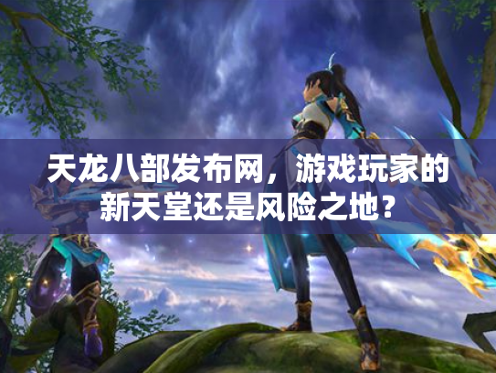 天龙八部发布网，游戏玩家的新天堂还是风险之地？