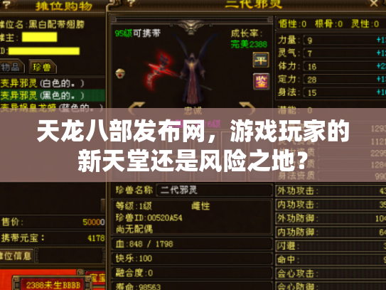 天龙八部发布网，游戏玩家的新天堂还是风险之地？