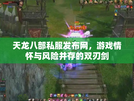 天龙八部私服发布网，游戏情怀与风险并存的双刃剑