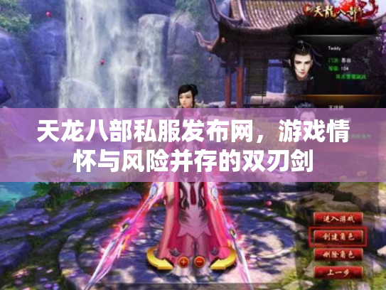 天龙八部私服发布网，游戏情怀与风险并存的双刃剑