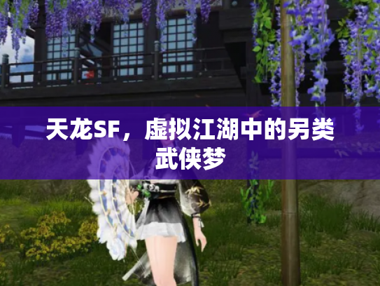 天龙SF，虚拟江湖中的另类武侠梦