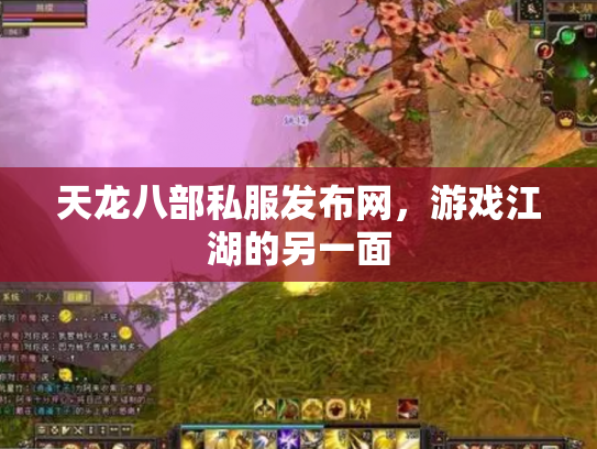 天龙八部私服发布网，游戏江湖的另一面