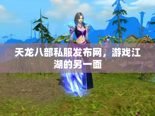 天龙八部私服发布网，游戏江湖的另一面