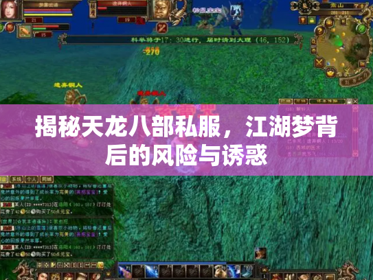 揭秘天龙八部私服，江湖梦背后的风险与诱惑
