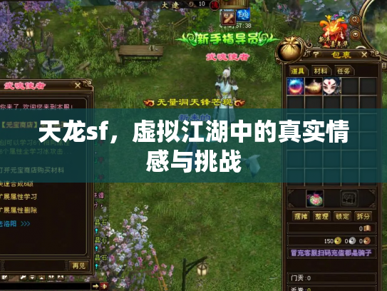 天龙sf，虚拟江湖中的真实情感与挑战
