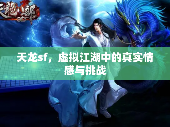 天龙sf，虚拟江湖中的真实情感与挑战
