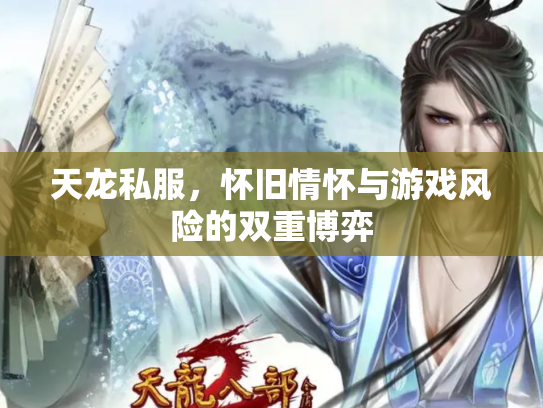 天龙私服，怀旧情怀与游戏风险的双重博弈