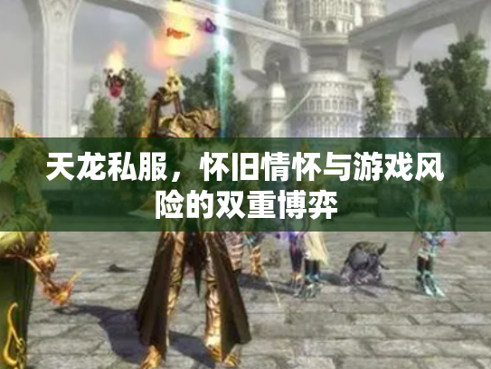 天龙私服，怀旧情怀与游戏风险的双重博弈