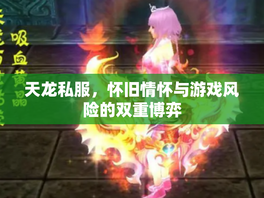 天龙私服，怀旧情怀与游戏风险的双重博弈