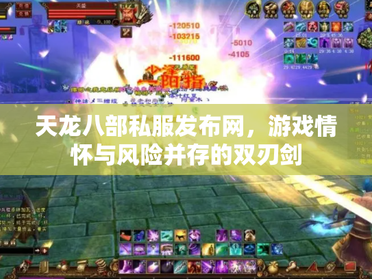 天龙八部私服发布网，游戏情怀与风险并存的双刃剑