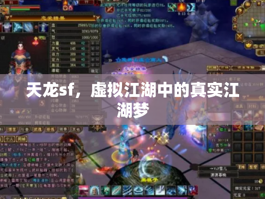 天龙sf，虚拟江湖中的真实江湖梦