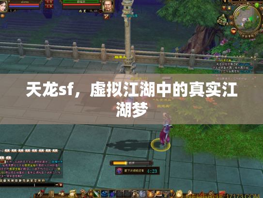 天龙sf，虚拟江湖中的真实江湖梦