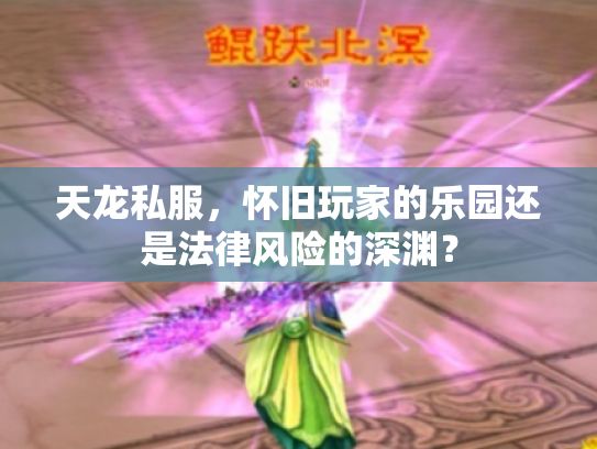 天龙私服，怀旧玩家的乐园还是法律风险的深渊？