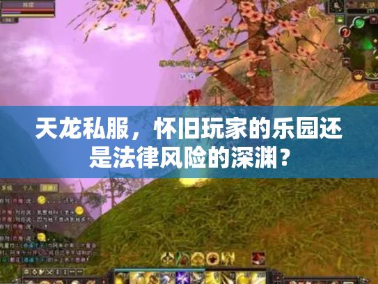 天龙私服，怀旧玩家的乐园还是法律风险的深渊？
