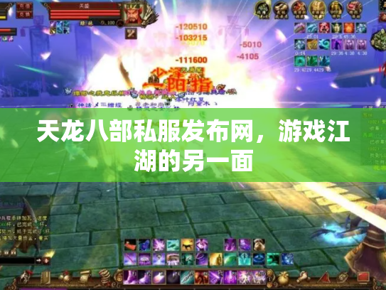 天龙八部私服发布网，游戏江湖的另一面
