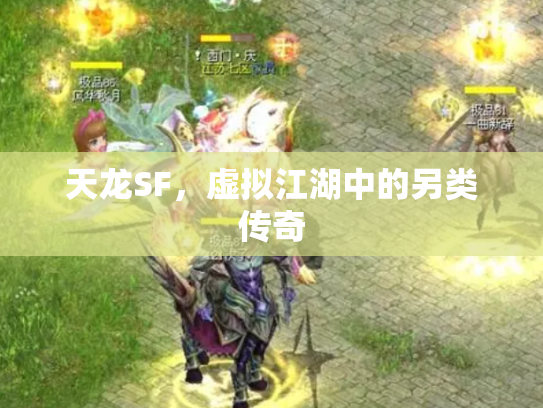 天龙SF，虚拟江湖中的另类传奇