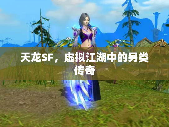 天龙SF，虚拟江湖中的另类传奇