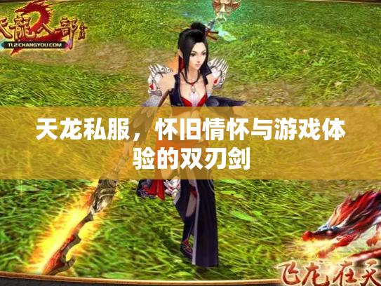 天龙私服，怀旧情怀与游戏体验的双刃剑