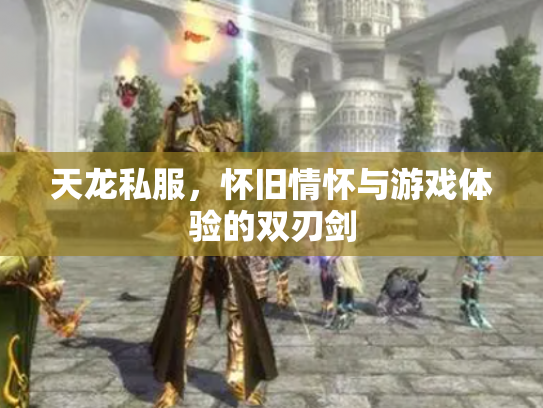 天龙私服，怀旧情怀与游戏体验的双刃剑