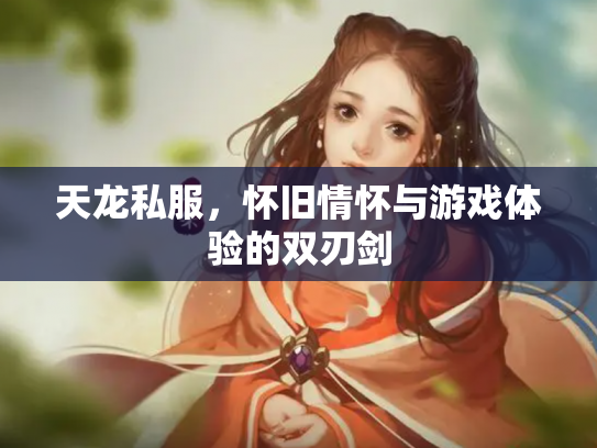 天龙私服，怀旧情怀与游戏体验的双刃剑