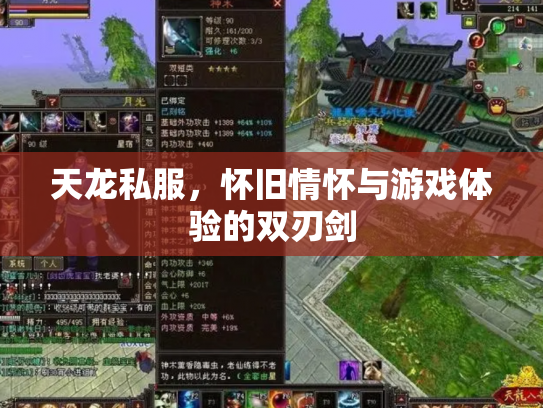 天龙私服，怀旧情怀与游戏体验的双刃剑