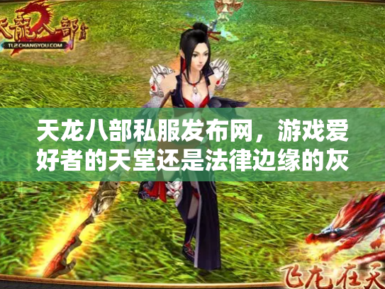 天龙八部私服发布网，游戏爱好者的天堂还是法律边缘的灰色地带？
