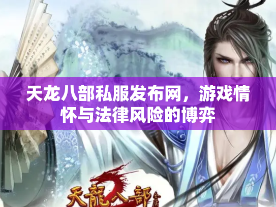 天龙八部私服发布网，游戏情怀与法律风险的博弈