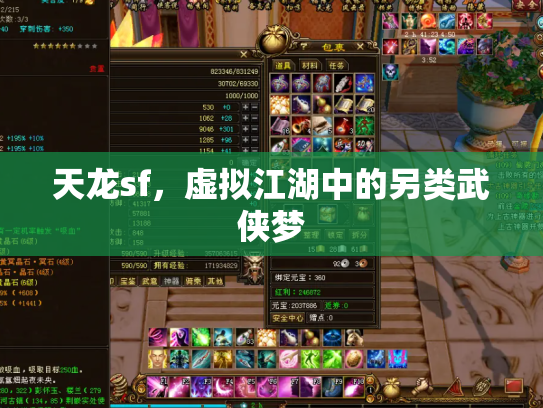 天龙sf，虚拟江湖中的另类武侠梦