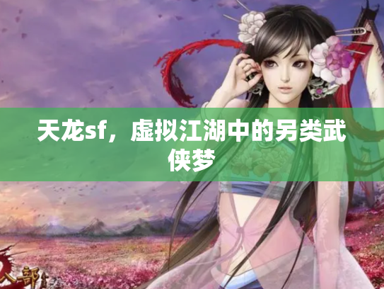 天龙sf，虚拟江湖中的另类武侠梦