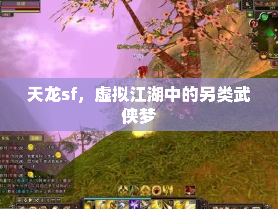 天龙sf，虚拟江湖中的另类武侠梦