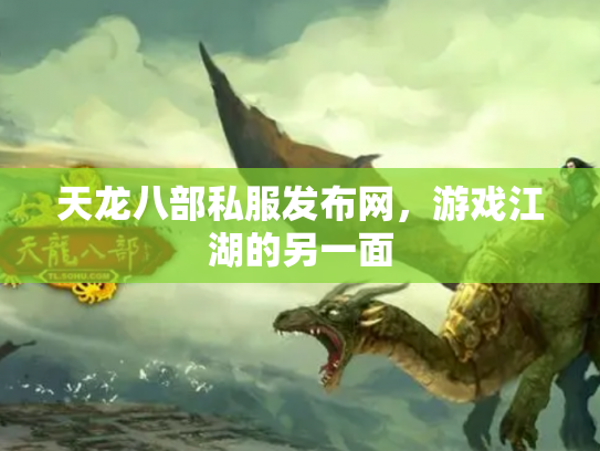 天龙八部私服发布网，游戏江湖的另一面
