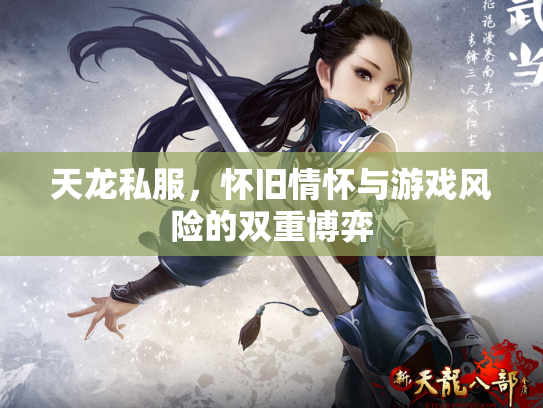 天龙私服，怀旧情怀与游戏风险的双重博弈