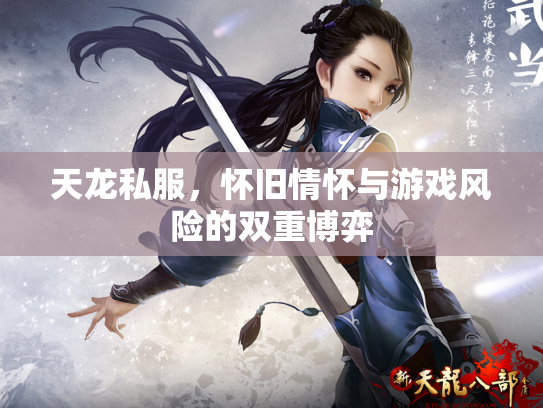 天龙私服，怀旧情怀与游戏风险的双重博弈