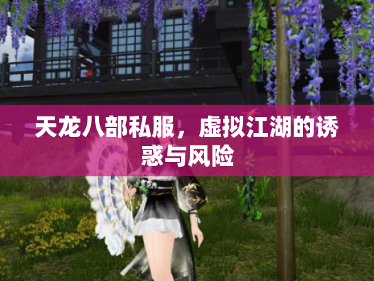 天龙八部私服，虚拟江湖的诱惑与风险